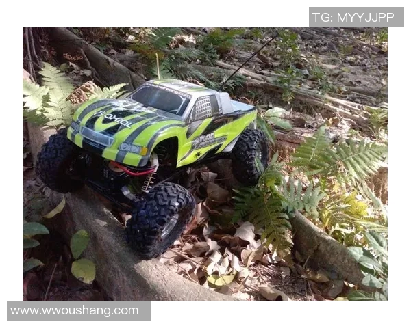 攀岩深度探索西安攀岩队防守策略与技术解析